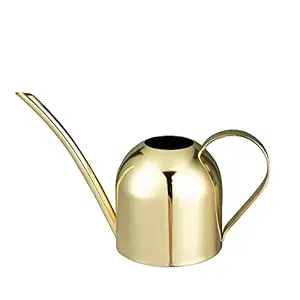 IMEEA 15oz/450ml Mini Watering Can Indoor for Kids House Desk Office Plants Bonsai Stainless Steel (Gold)