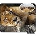 Produktbild Thinking, the good old days. Mouse Pad, Mousepad (Cats Mouse Pad)