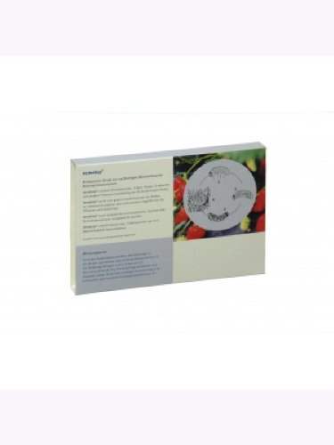 NemaTop zur Bekï¿½mpfung des Dickmaulrï¿½sslers 50 Mio - 3