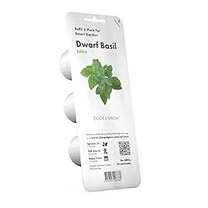 Click and Grow Smart Garden Dwarf Basil Plant Refill, 3-Pack