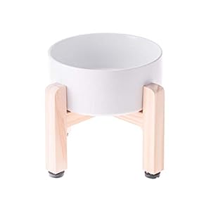 HCHLQLZ Blanco Ceramica Comedero Elevado Perro y Comedero Gato – 850 ml – En un Elegante Soporte de bambú – También Adecuado para Perros Grandes/Grandes felinos