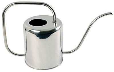 esschert Arrosoir d'intérieur 1 litre 1,5l métal