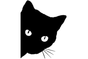 KUNFINE Adhesivo de vinilo para coche, diseño de gato y coche, color negro
