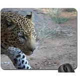 Preisvergleich Produktbild Leopard up cloes Mouse Pad, Mousepad