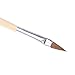 Well-Goal 1pcs Nail Art Design Paint Painting Brush Crystal Pen Size 8 #1
