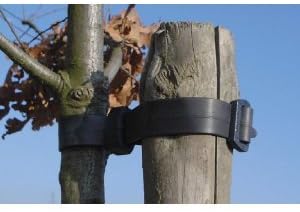 Garden Tree Buckle Ties - 45cm - Pack of 50 (a320)