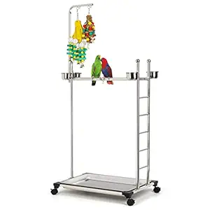 Olpchee Stainless Steel Large Parrot Stand,Bird Play Stand Parrot Playstand Parrot Training Perch Stand with Feeding Bowls,Height 57 Inch (Including Toys)