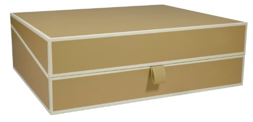 Semikolon Dokumentenbox chamois (sand) | Sammel-Box und Aufbewahrungsbox für Dokumente im A4 Format und Unterlagen | geräumige Box und praktisches Ablage-System im Format 31,5 × 26 × 10 cm
