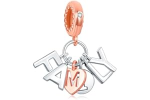 HAEPIAR Harry S925 Sterling Silver Charm for Bracelet Necklace Charm Dangle for Women Girl Birthday Gifts…