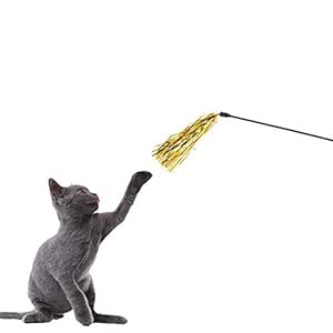 cat with magic wand