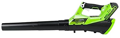 Greenworks Tools 2400807UA Souffleur axial sans fil lithium-ion avec batterie/chargeur 2 Ah 40 V