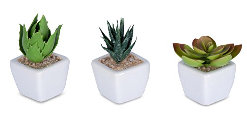 6er Set Sukkulenten B x H 4,5x9cm Kunstpflanze Grün Weiß Kunstblume Deko - 3
