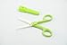 ZoLi Snip Ceramic Food Scissors (15 cm, Green)