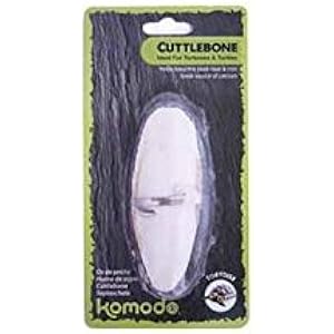 Komodo Sepiaschale Für Reptilien