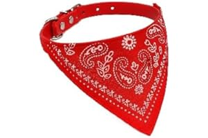 WOO LANDO Collar Ajustable para Gatos y Perros, Ligero, cómodo y Seguro, Ideal para Interior y Exterior, Gargantilla de 20 a 26 cm, diseño Elegante para felinos (Rojo)
