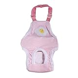 ❤Este es el regalo más íntimo para mascotas collar de perro correa para mascotas cosas para la venta de comida de perro proveedores de alimentos mascotas suministros online gatitos accesorios mascotas más baratos en línea mascota tienda de mascotas accesorios de juego mascotas champú viaje mascotas accesorios mascotas accesorios mascotas perro mascotas pájaro accesorios