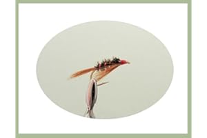 TROUTFLIESUK NYMPHS Diawl Bach Trout Flies, 6 Pack, Red Diawl Bach, Choice of sizes, For Fly Fishing