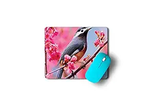 Bird Printed Mouse pad|Rubber Base Matte Finish Nature Mouse Pad|Mouse Pad for Office Boys, Girls & Kids|Mouse Pad for All Types of Mouse |Non-Slip Rectangular Mouse pad