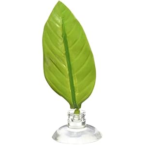 Zoo Med BL-20E Betta Bed - Ruheplatz in Blattform für Betta Kampffische