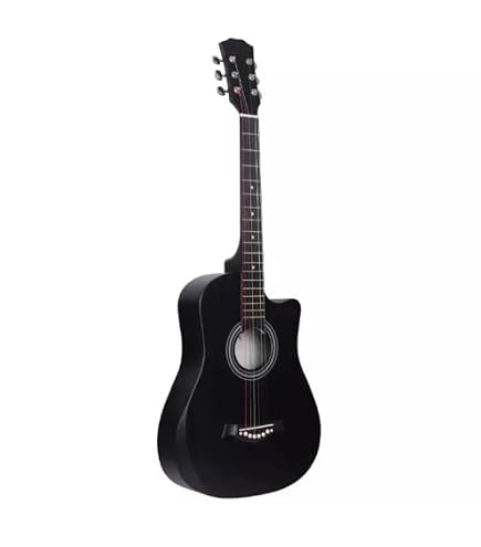 Gitane DG-310 Professional Gypsy Jazz Guitar - Modèle Lulo