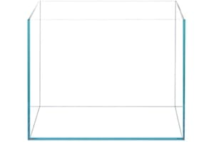 BEGONDIS Würfel Fischglas 30x30x30CM cm - Ultraweißes Glas Aquarium | Kompakt Becken für Heimdekoration