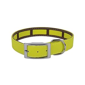 Francisco Romero – Collar con Funda Antiparasitaria Biothane Beta, 2.5 x 35 cm, Amarillo flúor