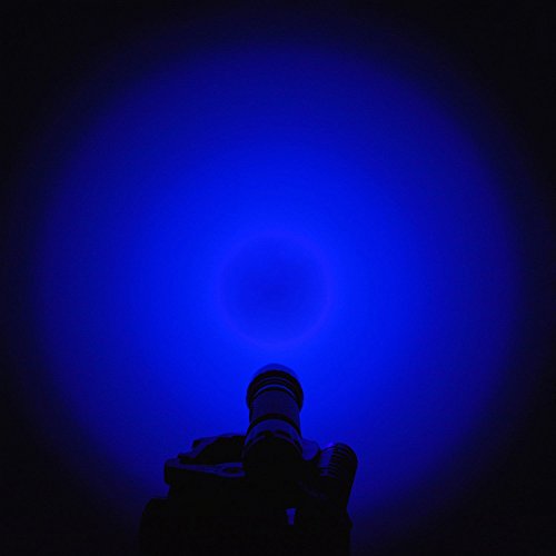 UV Schwarzlicht Taschenlampe, AhomePlay Ultraviolet 395nm LED Lampe, Urinflecken detektor, Bett-Wanzen-Sucher, Hund / Katze Fleckenentferner, mit Batterie 18650 und Aufladeeinheit - 9