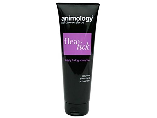(6 Pack) Animology - Flea And Tick Shampoo 250ml