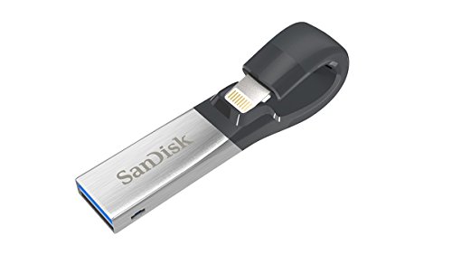 Preisvergleich Produktbild SanDisk ixpand 64 GB IOS USB Flash Drive