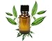 Kissys Patchouli Perfume xxx Oil 10ml - Hippie Funky 60's Scent