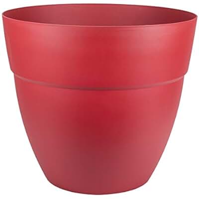 Suchergebnis auf Amazon.de für: blumenkasten innen: Garten