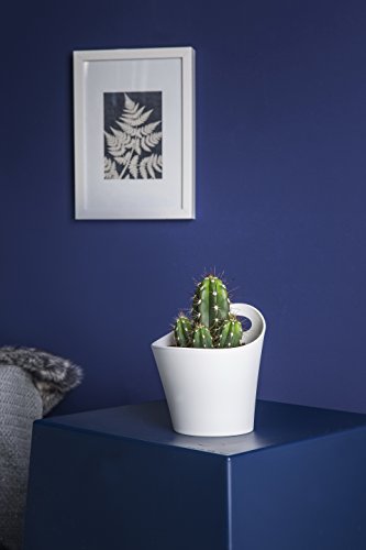 koziol Utensilo 1,2 L Pottichelli M, Kunststoff, solid weiß, 16,2 x 15 x 17 cm - 2