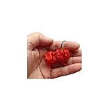 Semi di Peperoncino 7 Pot Primo