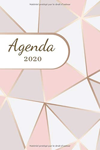 Télécharger Agenda 2020: planificateur, semainier simple -12 mois journalier 2020 janvier à décembre - format livre En ligne