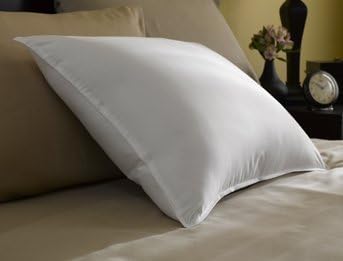 Restful Nights Trillium Queen Size Pillow With 1 Queen Size Pillowtex Pillow Protector by Restful Nights
