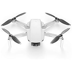 DJI Mavic Mini - Drone Ultra-Léger et Ultra-Transportable, Autonomie de 30 Minutes, Distance de Transmission de 2 km, Cardan 3 Axes, 12 MP, Vidéo HD 2.7K