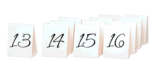 Preisvergleich Produktbild Amscan International Platzkarten Tisch Nummer Zelt 13–24