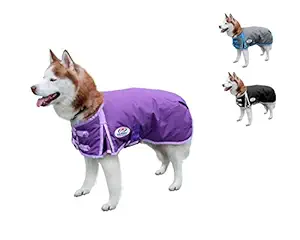 Derby 600D Waterproof Dog Coat Insulated with Polyfill, X-Large, Purple