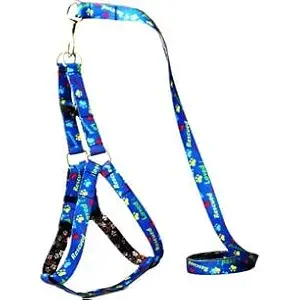 Set pet Dog & Cat Harness & Leash (Medium, Blue)
