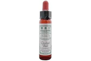 AINSWORTHS Original Bach Flower Remedy 10ml - CHESTNUT BUD