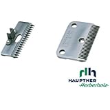 Pferdescherkämme - Hauptner Standardsatz