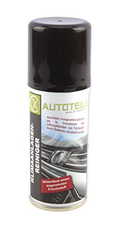 Preisvergleich Produktbild X1 Klimareiniger Klimaanlagenreiniger Clima Cleaner