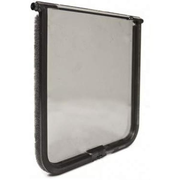 best dog breeds for women