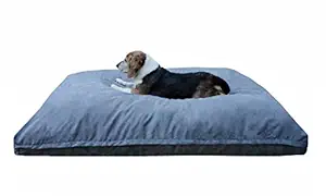 Dogbed4less Medium Memory Foam Dog Bed Pillow with Orthopedic Comfort, Waterproof Liner and Grey Microsuede Pet Bed Cover 37X27 Inches