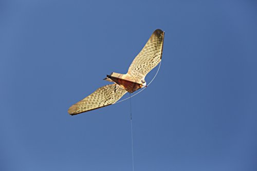 Espantapájaros EOLO HALCÓN profesional (Incluye mástil Telescópico 5 mts.)