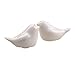 Produktbild Hemore Love Bird Keramik Gewürzdose Weiss 2er Pack Weihnachten Halloween Thanksgiving Party Dekoration