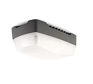 PHILIPS 10W LED Bulkhead Light (White,Metal).