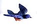 Produktbild Clark Sammlung Blue Bird-Fenster-Magnet