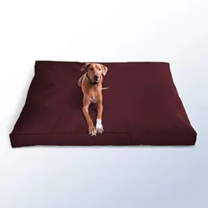 PRAZUCHI Chew and Water-Resistant Dog Bed -Cushion Only (Medium/L/XL/XXL) for All Breeds