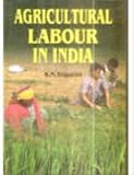 Image de Agricultural Labour in India